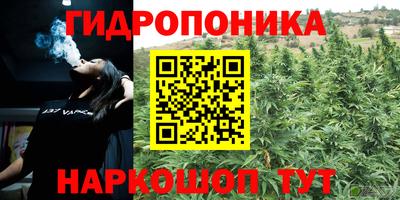 гидропоника Ирбит