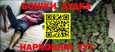 гидропоника Ирбит