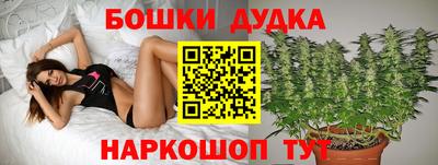 Альфа ПВП Кандалакша