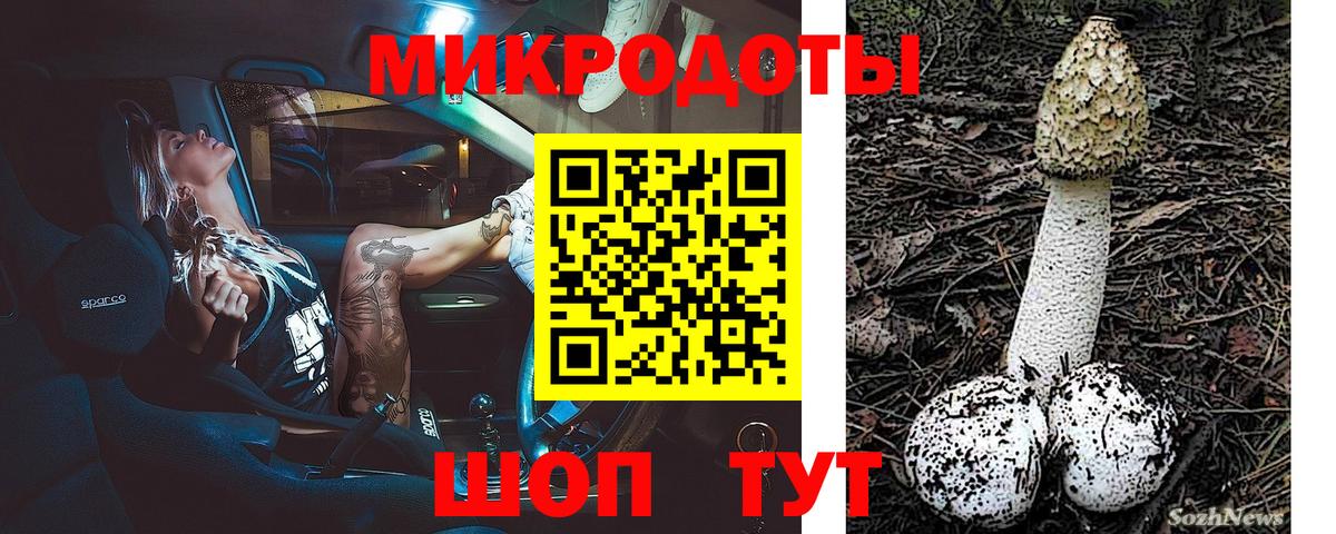 купить  цена  Вход с VPN  Канаш  Галлюциногенные грибы GOLDEN TEACHER 